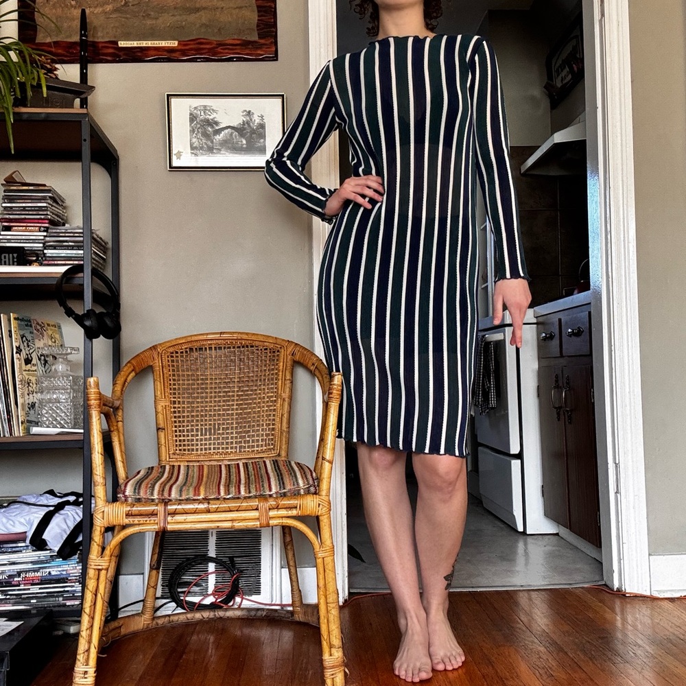 Zara Striped Sheer Dress